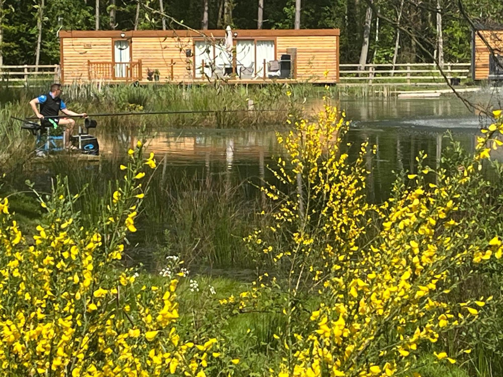 Oak Boutique Lodge Includes Hot Tub Air Con & Dog York Dış mekan fotoğraf